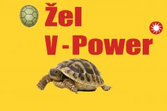 želví-power-kopie-scaled